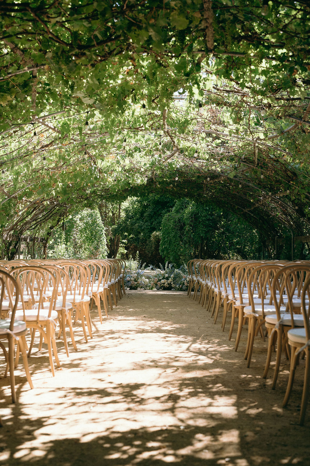 Vine-covered arbor with wooden chairs arranged for a wedding ceremony in Mendocino.