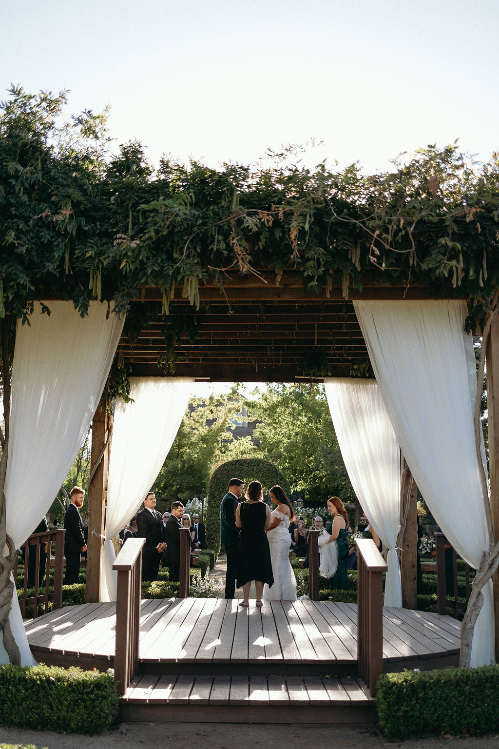 Wedding ceremony under a greenery-covered pergola with draped white curtains at Wolfe Heights.