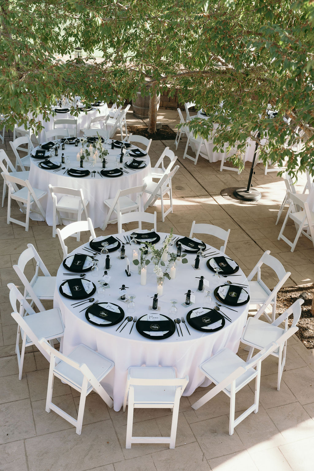 Reception table with black and white place settings and greenery centerpiece at Wolfe Heights