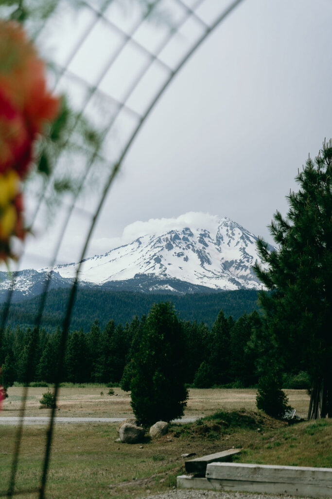 Rustic mountain wedding ceremony backdrop with a snow-capped peak in the distance captured by a Northern California Wedding Photographer