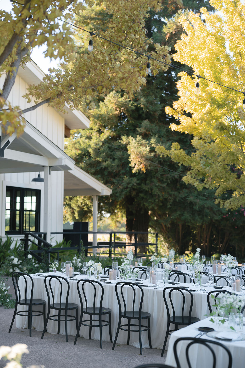 Outdoor reception tables with modern black chairs and white floral décor at Park Winters wedding.